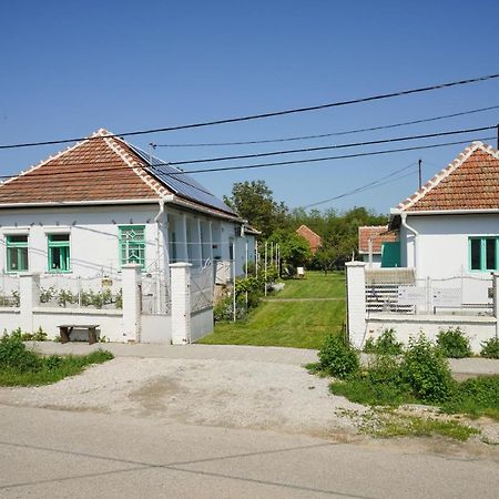 Matyoroza Vendeghaz Daire Tard Dış mekan fotoğraf